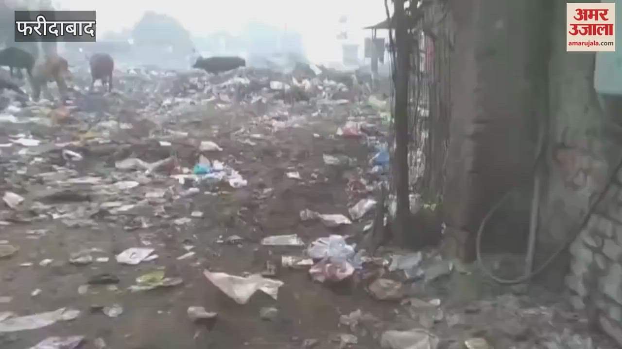garbage spread in field near sabji market in faridabad