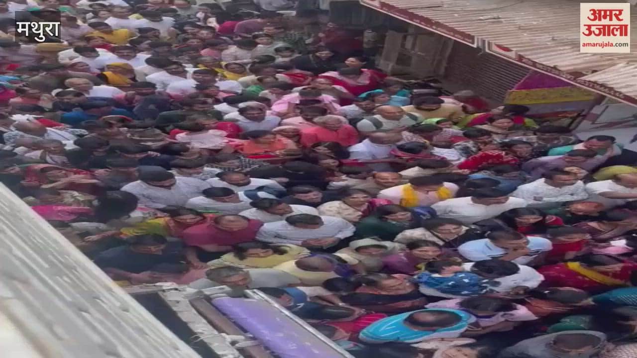 Mathura News: Huge Crowd Reached for Banke Bihari Mandir Darshan in Vrindavan