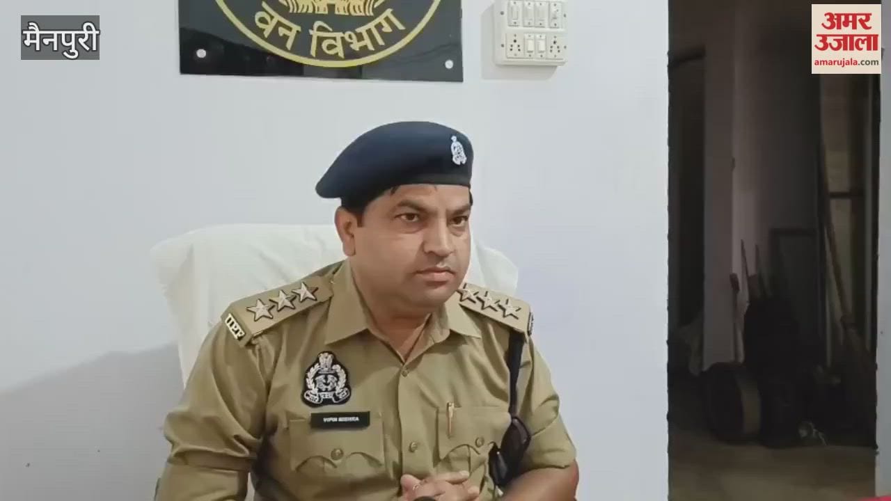 leopard death road accident
