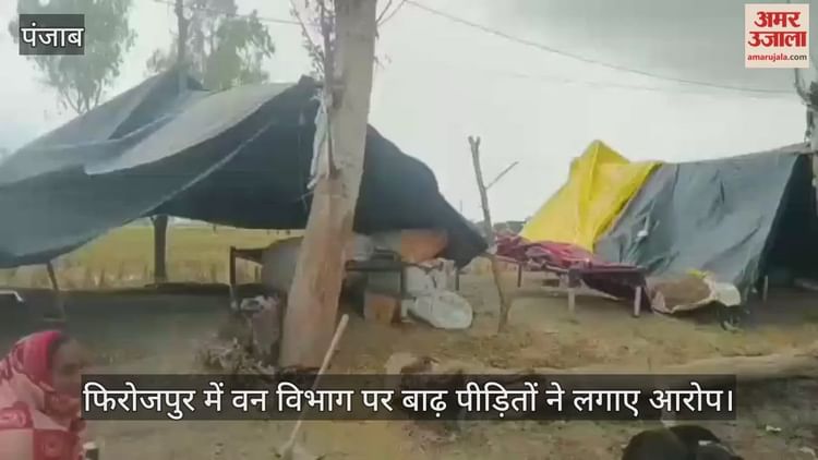 Flood Victims Accuse The Forest Department In Ferozepur – Amar Ujala Hindi News Live