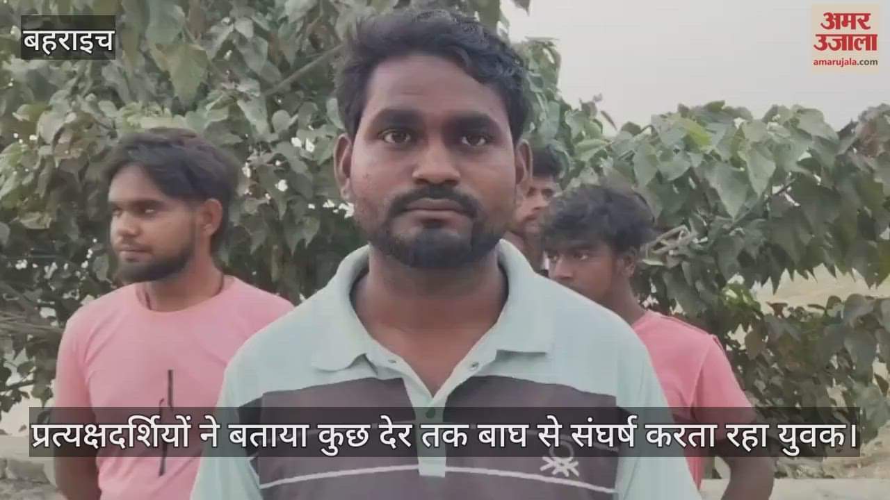 VIDEO: Bahraich: हल्दी के खेत में घास की निकाई कर रहे किसान पर बाघ का हमला, मौत