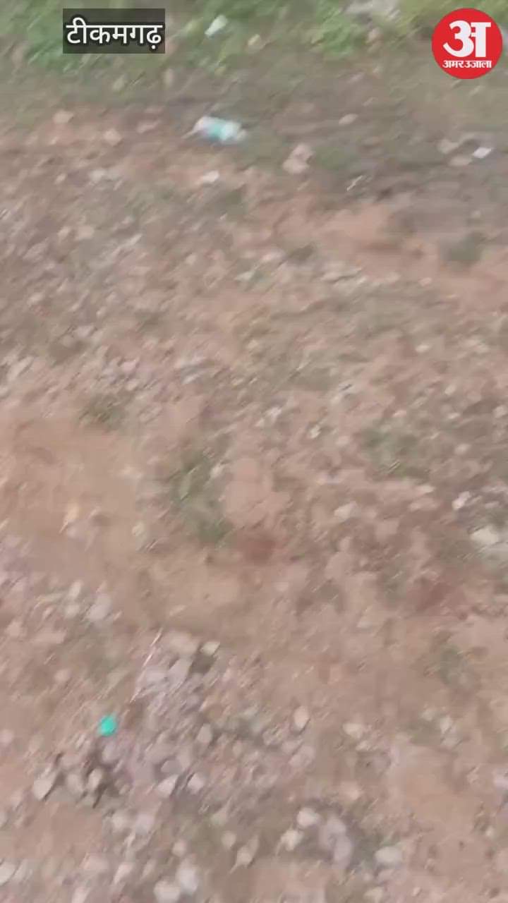 The school operator threw out a student and her brother who were studying under the BPL quota.