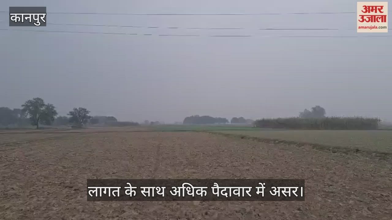 कानपुर: भीतरगांव इलाके में बादलों को डेरा, भारी बारिश की आशंका से किसान चिंतित