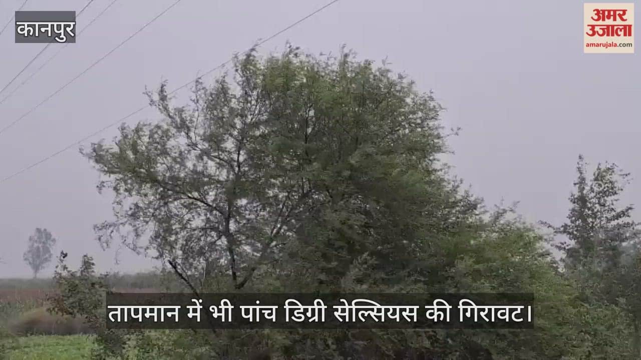 कानपुर: भीतरगांव इलाके में मोंथा का असर, छह किमी प्र्रति घंटा की रफ्तार से चल रही हवाएं