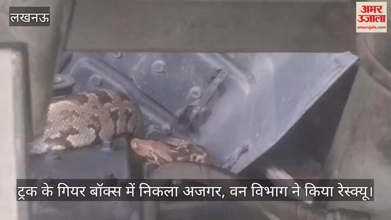 लखनऊ में इंजीनियरिंग कॉलेज चौराहे के पास ट्रक के गियर बॉक्स में निकला अजगर, वन विभाग ने किया रेस्क्यू