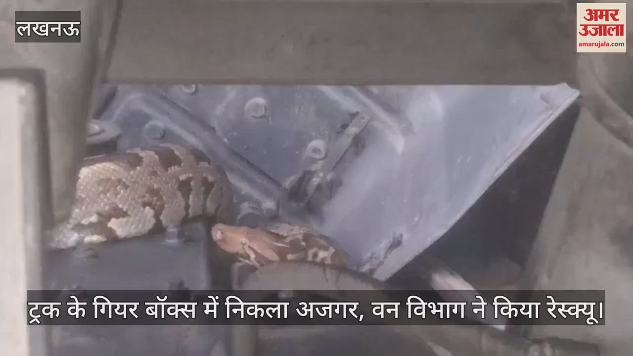 लखनऊ में इंजीनियरिंग कॉलेज चौराहे के पास ट्रक के गियर बॉक्स में निकला अजगर, वन विभाग ने किया रेस्क्यू