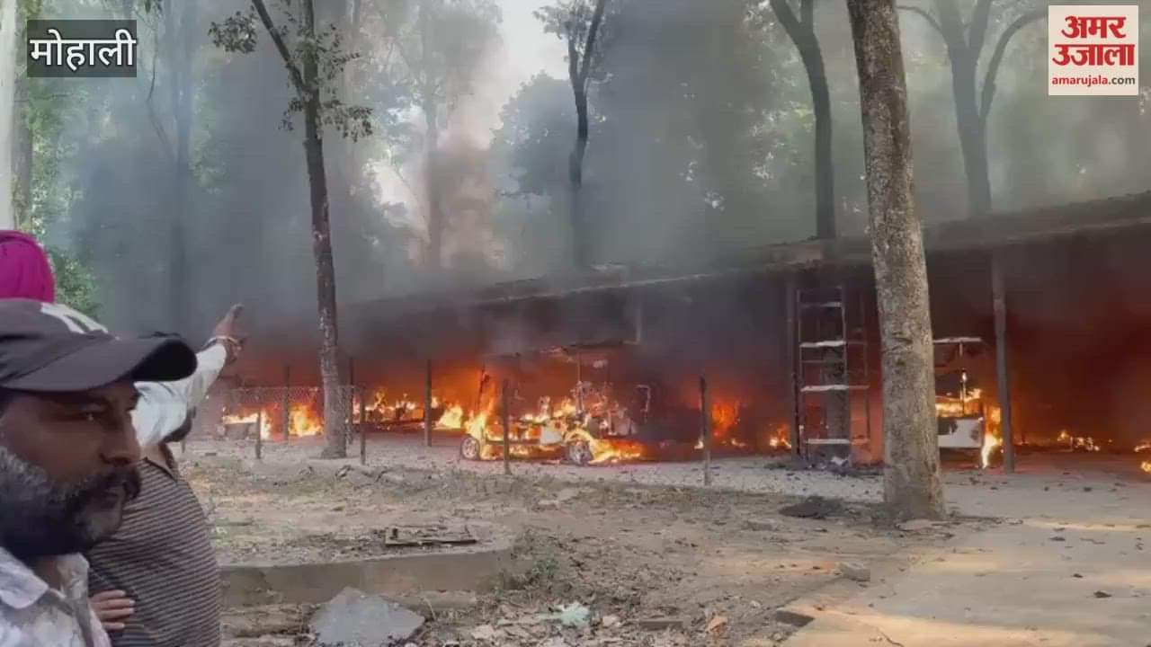 Fire breaks out at Zirakpur Chhatbir Zoo 19 electric vehicles ferrying tourists burn