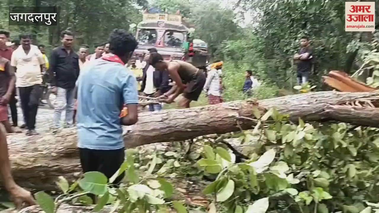 A fallen tree blocked the National Highway causing an accident near Tongpal