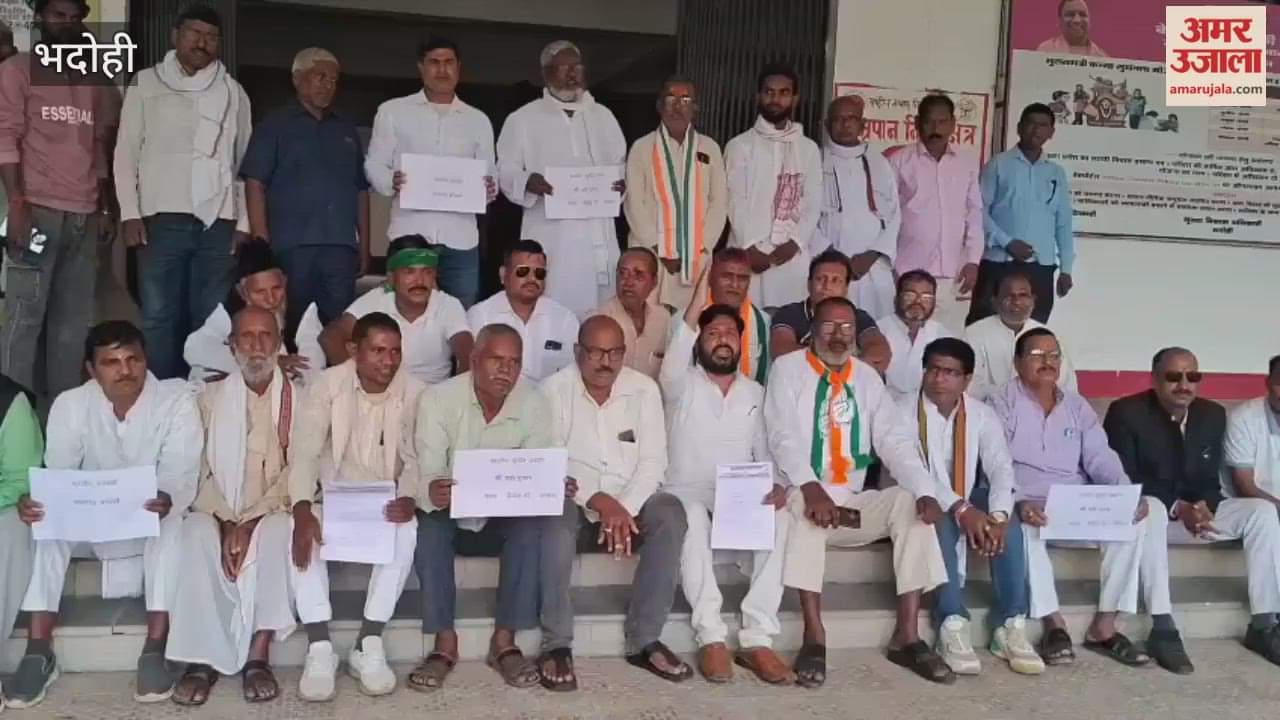 Government should give 30% bailout package to save carpet industry