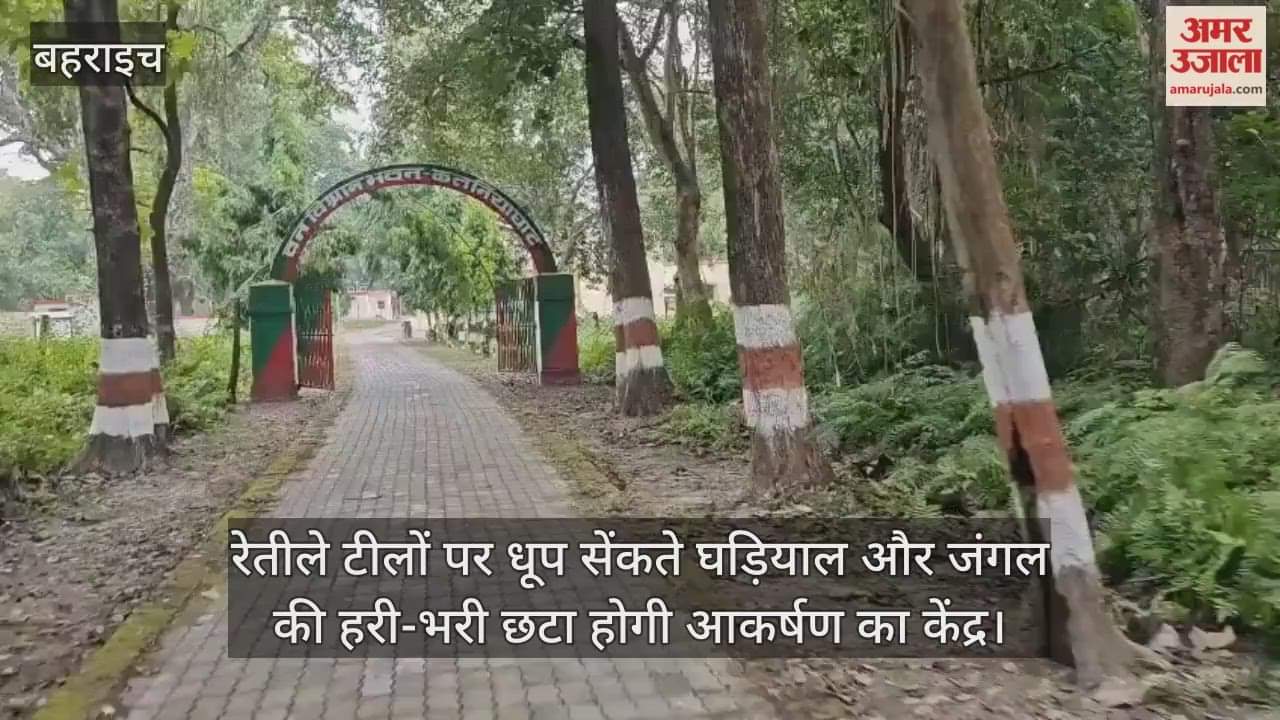 VIDEO: कतर्नियाघाट जंगल सैलानियों के स्वागत को तैयार, 1 नवंबर से निहार सकेंगे बाघ और तेंदुए