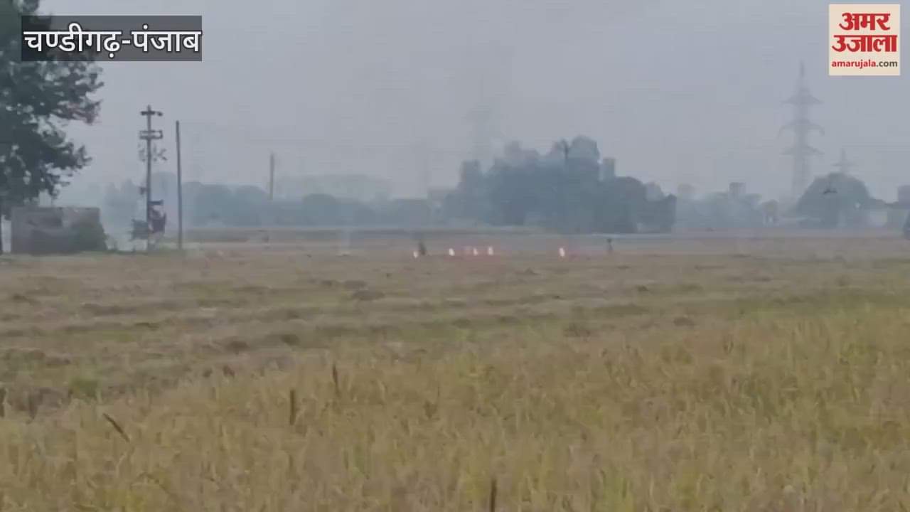 stubble burning 15 cases reported in Moga so far