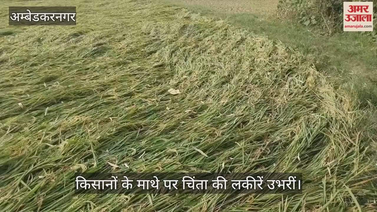 VIDEO: तीन घंटे हुई रुक-रुककर बारिश, खेत-खलिहान में भीगा धान, सब्जियों को नुकसान