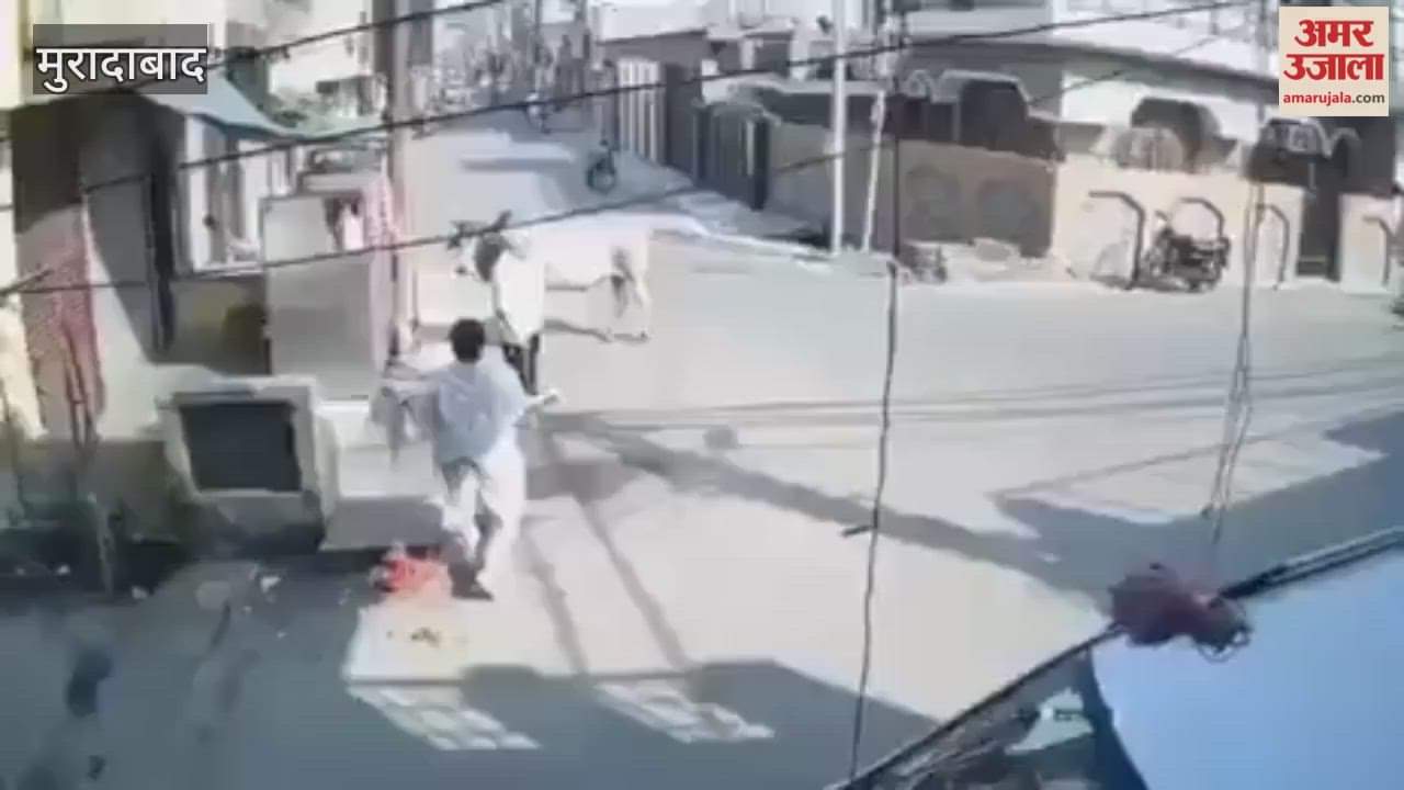 Moradabad, a bull picked up and threw an elderly shopkeeper; he died during treatment