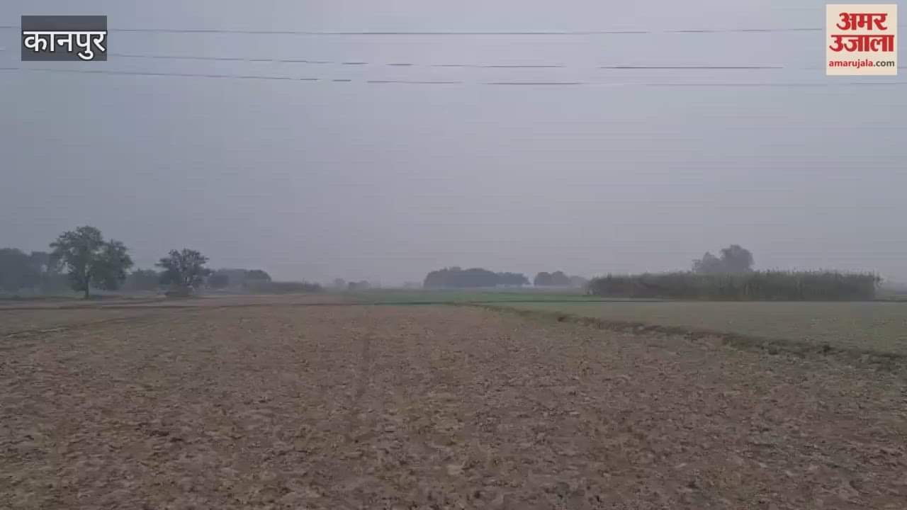 Bhitargaon: Clouds cover the sky, raising farmers' concerns