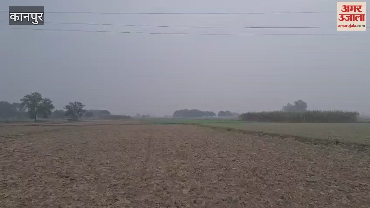 Bhitargaon: Clouds cover the sky, raising farmers' concerns
