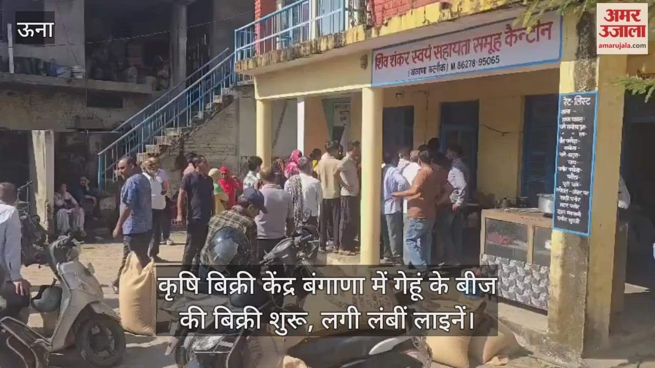 Wheat seed sales begin at Bangana Krishi Vyas Kendra, long queues form