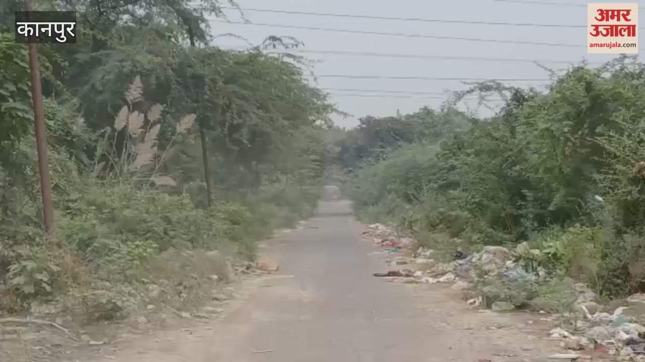 Kanpur: road leading to Ratanpur Colony lacks street lighting