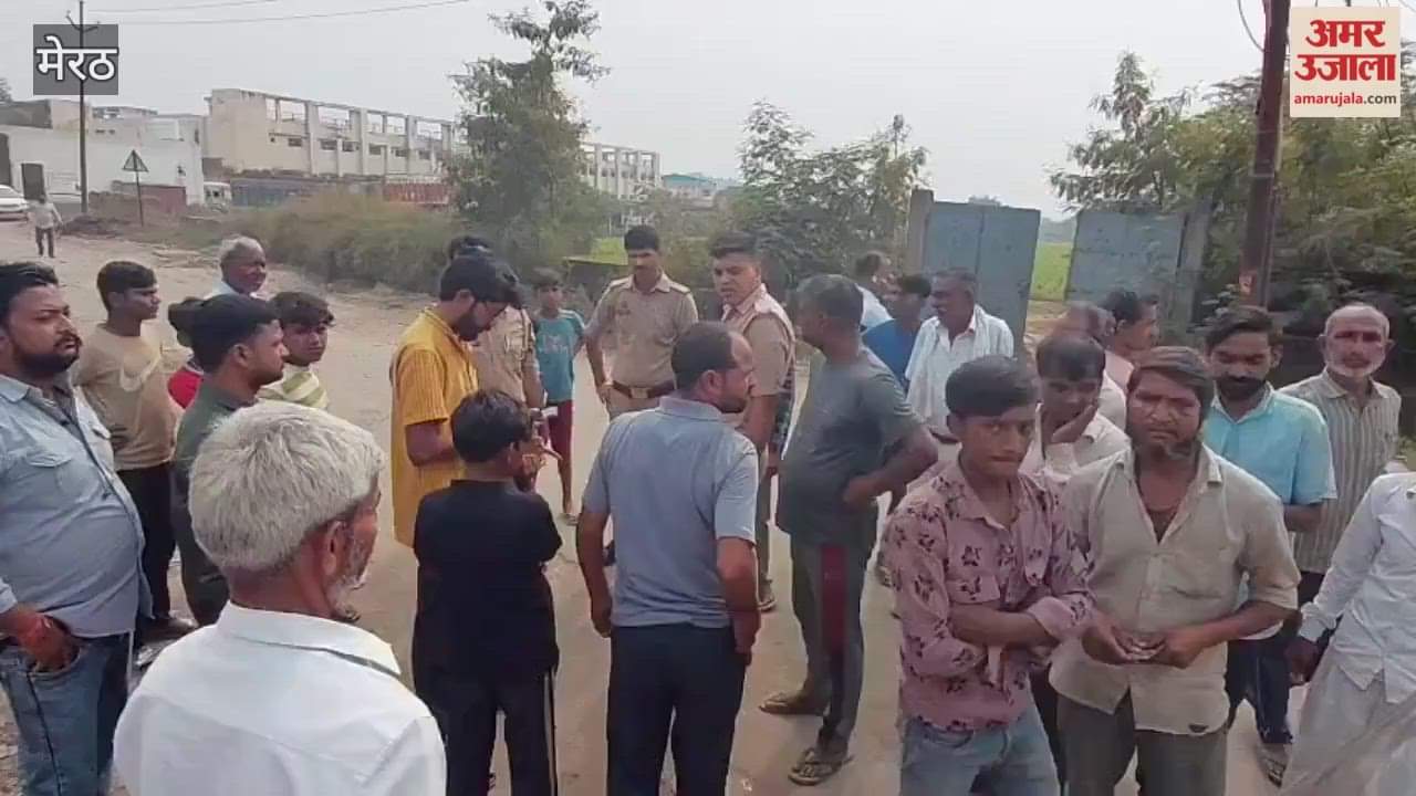 Meerut: Man dies after being hit by train; accident occurs while returning from market