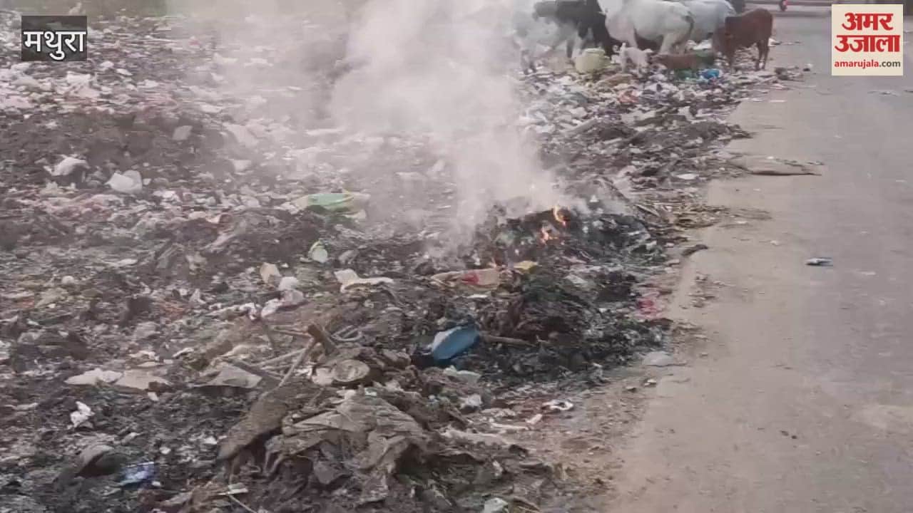 Garbage Burning for a Week