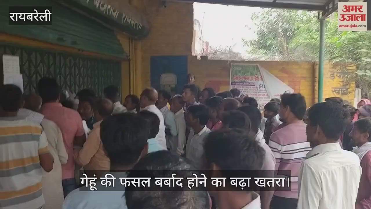 VIDEO: केन्द्रों में नहीं डीएपी खाद, किसान परेशान, गेहूं की फसल बर्बाद होने का बढ़ा खतरा