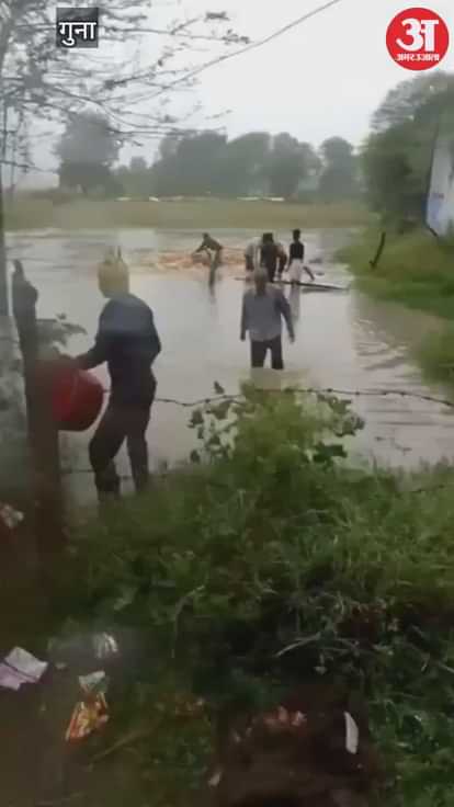 Rainless weather in Guna has caused trouble for farmers, with maize crops submerged in boats.