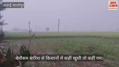 Sawai Madhopur News: Farmers' reactions to unseasonal rains mixed, some a blessing, others feared loss