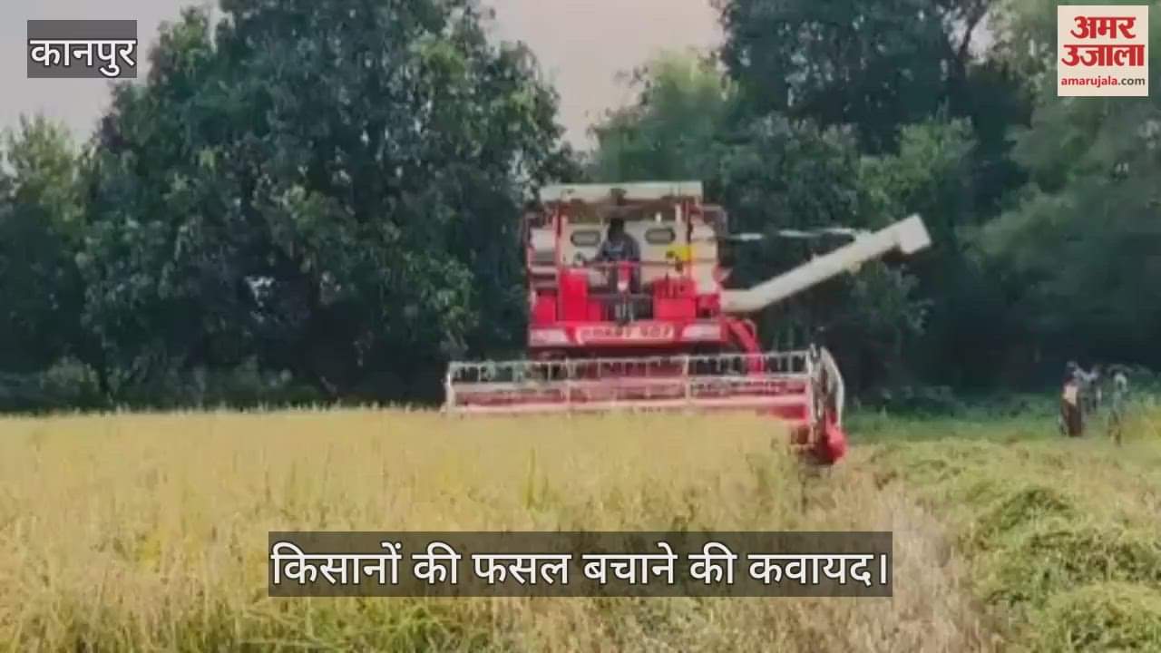 कानपुर: बेमौसम बारिश के डर से किसान चिंतित, भीतरगांव में थ्रेसर मशीन से तेजी से कटाई पर जोर