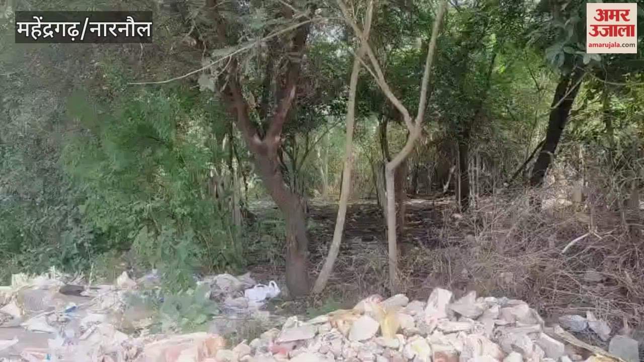 New houses to be built for judges in Narnaul, 3 bigha 4 biswa land acquired