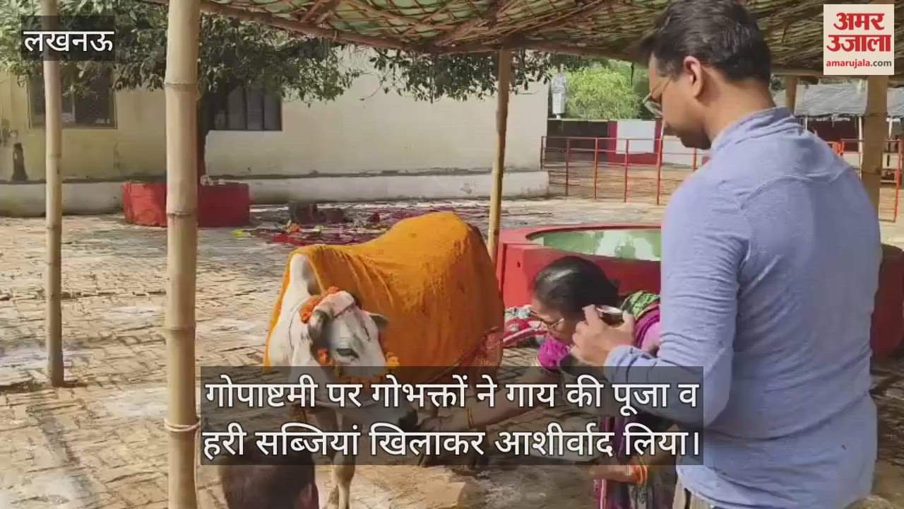 Video : गोपाष्टमी पर गोभक्तों ने गाय की पूजा व हरी सब्जियां खिलाकर आशीर्वाद लिया