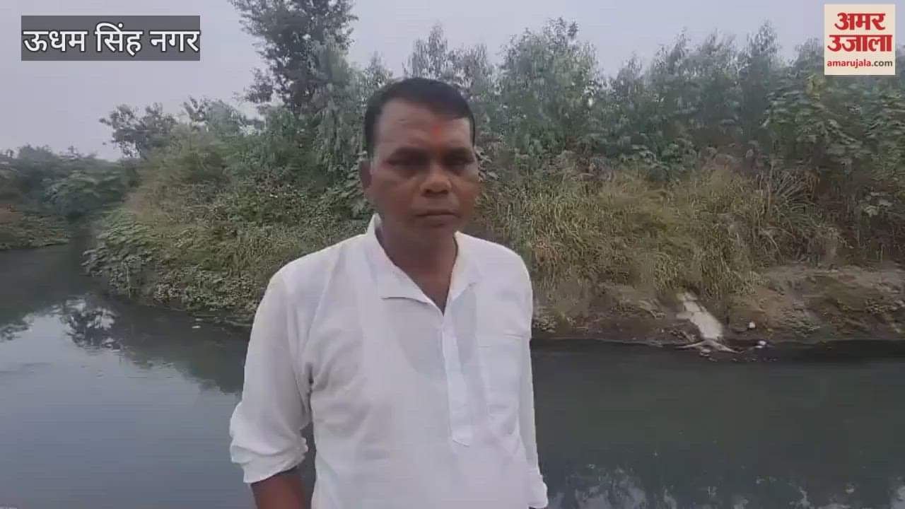 The water of Kalyani river has become discoloured and smelly