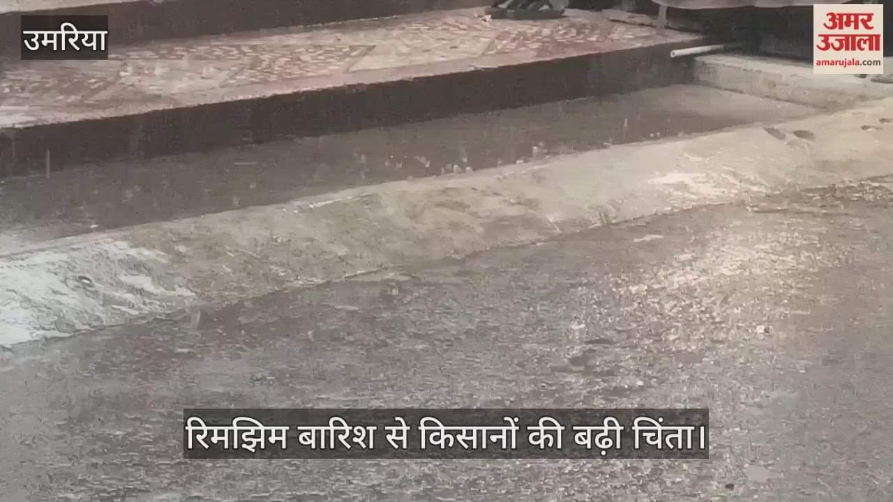 The weather in Umaria district has changed, with drizzle beginning.