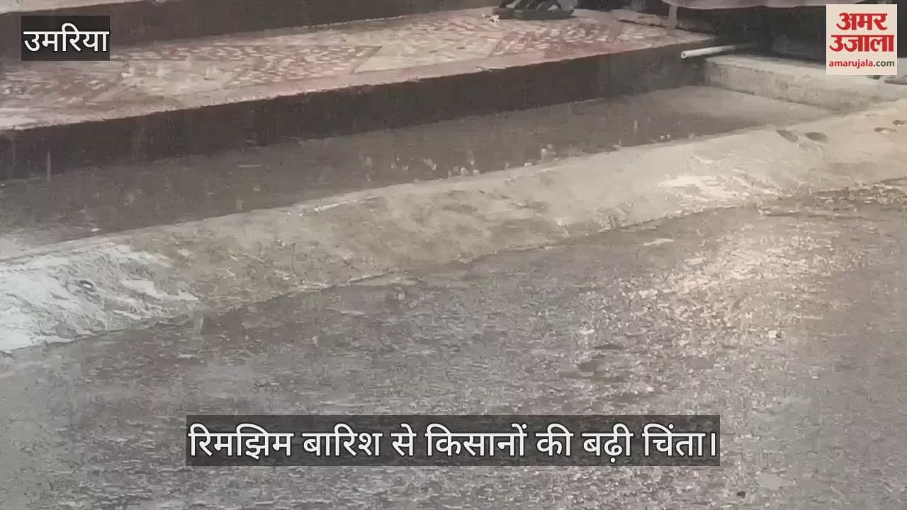 The weather in Umaria district has changed, with drizzle beginning.