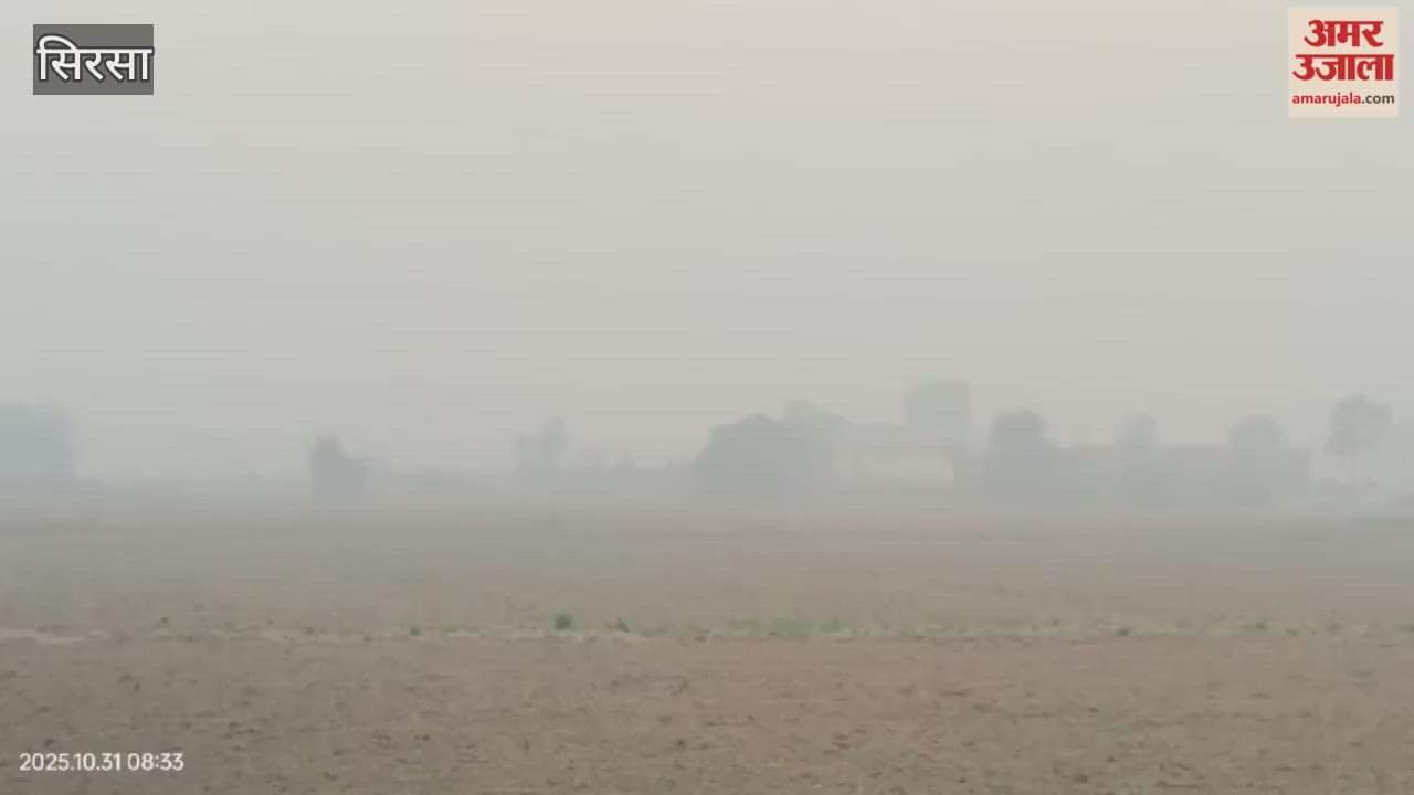 Smog engulfed Sirsa late at night, causing inconvenience to motorists