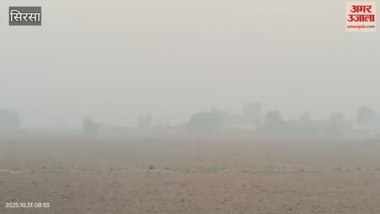 Smog engulfed Sirsa late at night, causing inconvenience to motorists