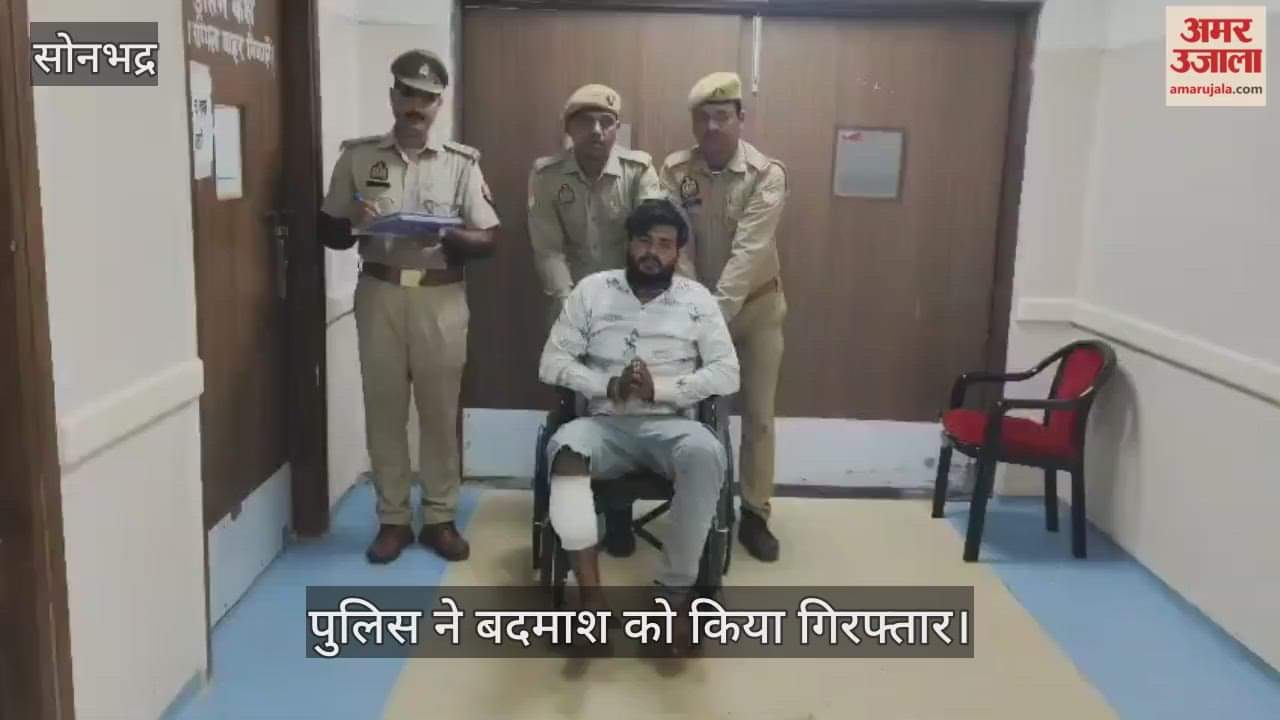 sonbhadra police Encounter cattle smuggler injured and three accomplices abscond