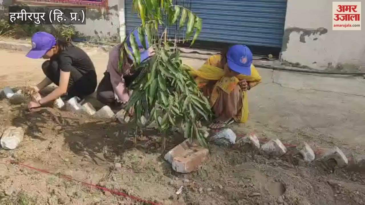 Hamirpur NSS volunteers participated in the parade and yoga at Government Senior Secondary School Dhaneta