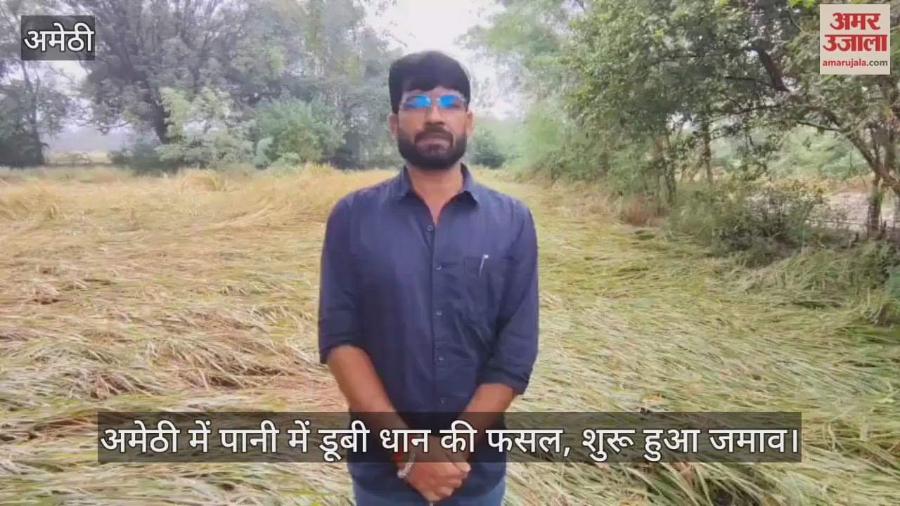 Video : अमेठी में पानी में डूबी धान की फसल, शुरू हुआ जमाव