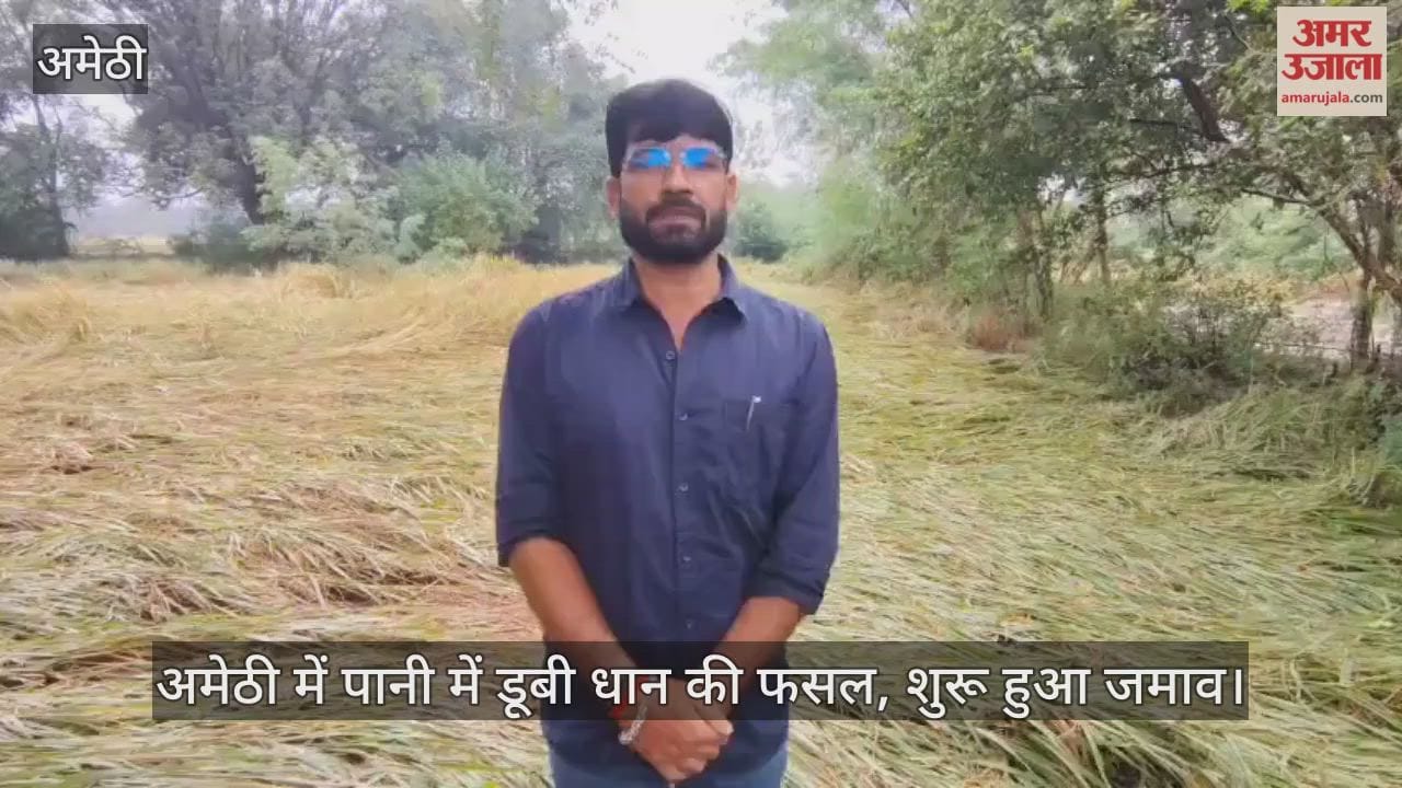 Video : अमेठी में पानी में डूबी धान की फसल, शुरू हुआ जमाव