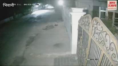 thief entered Bhiwani by jumping the gate with the intention of stealing, the family woke up after hearing the sound