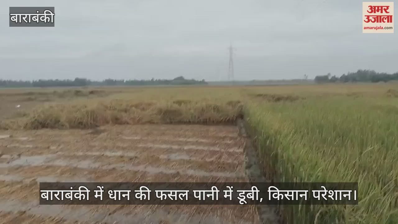 Video : बाराबंकी में धान की फसल पानी में डूबी, किसान परेशान