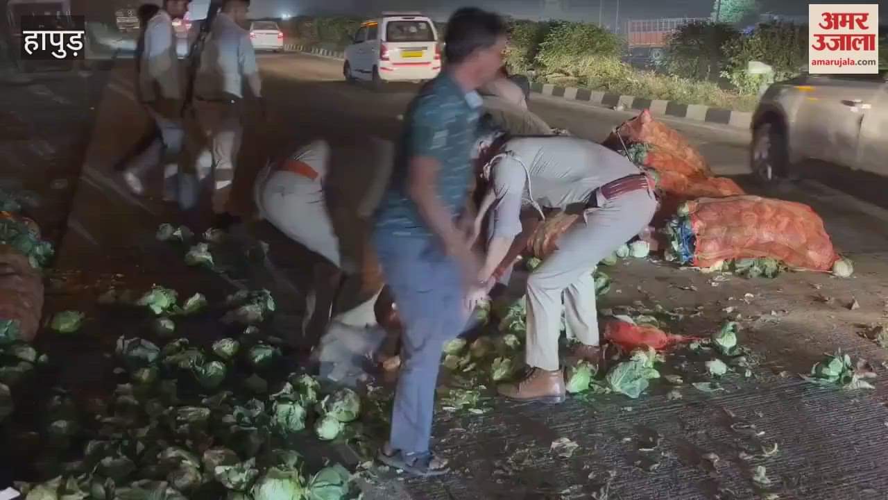 Pickup full of cabbage overturned on the highway in Hapur