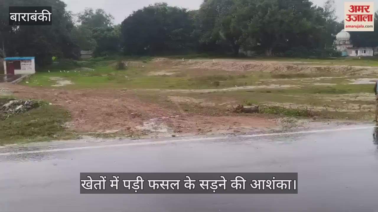 VIDEO: देर रात से हो रही बूंदाबांदी से किसान चिंतित, खेतों में पड़ी फसल के सड़ने की आशंका