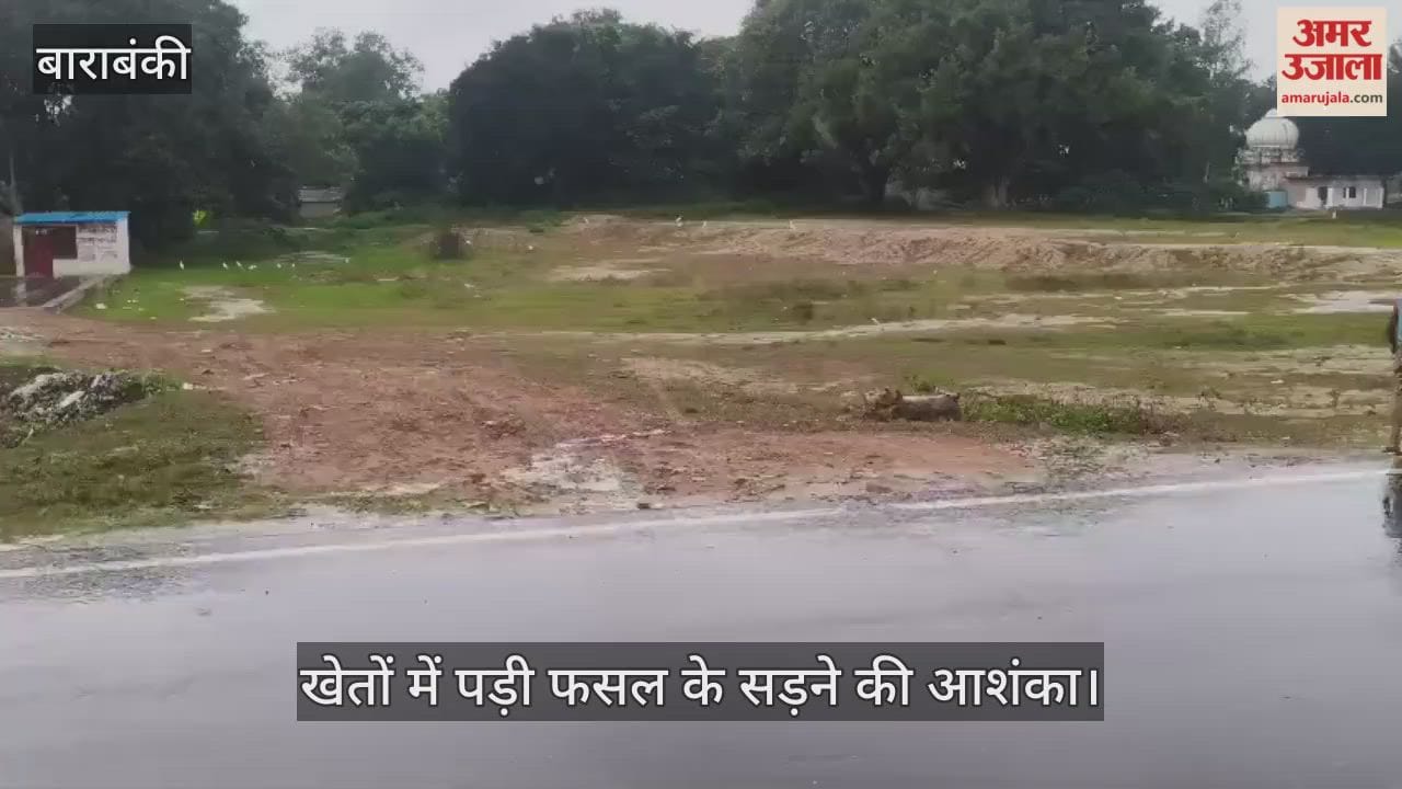 VIDEO: देर रात से हो रही बूंदाबांदी से किसान चिंतित, खेतों में पड़ी फसल के सड़ने की आशंका