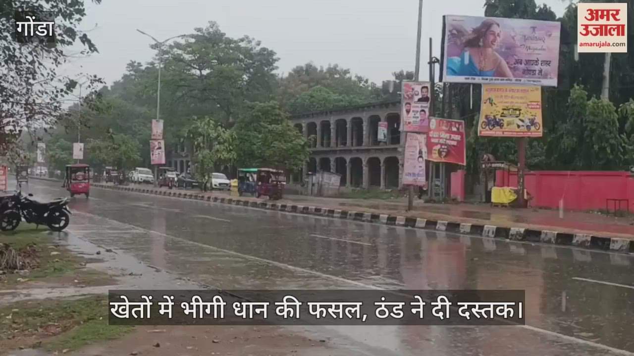 VIDEO: गोंडा: लगातार बारिश से किसानों की बढ़ी चिंता, खेतों में भीगी धान की फसल, ठंड ने दी दस्तक