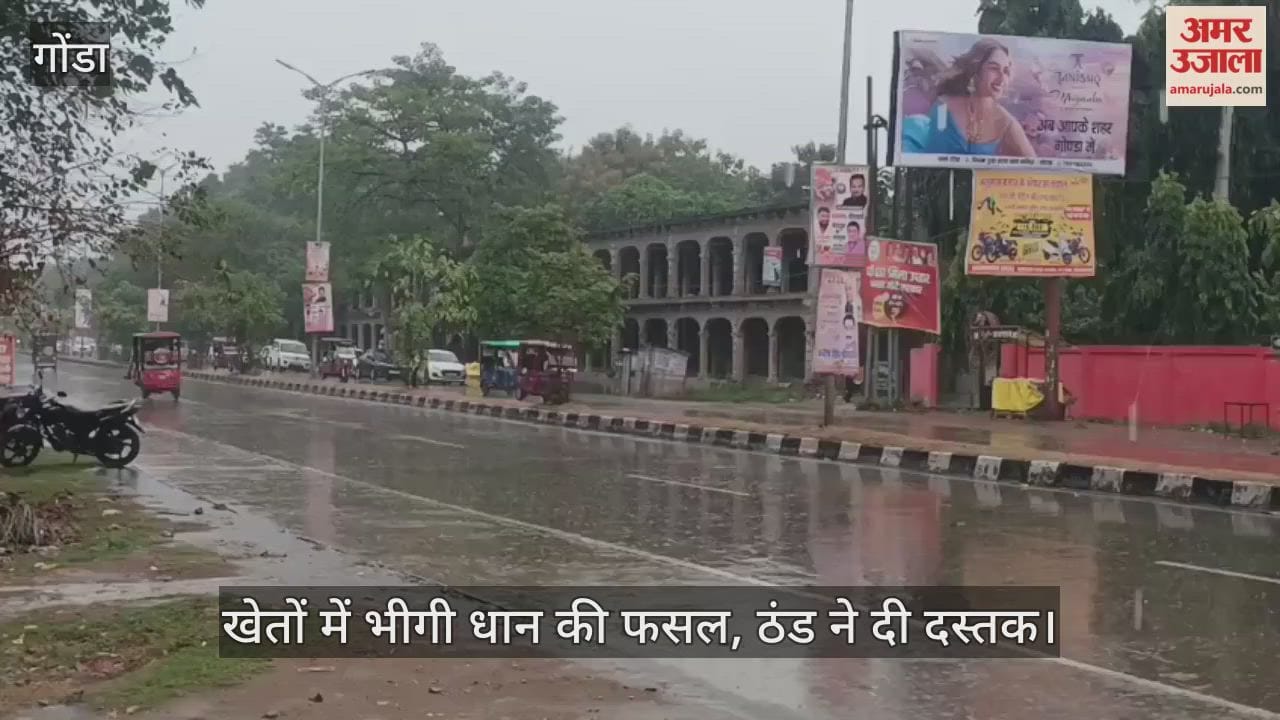 VIDEO: गोंडा: लगातार बारिश से किसानों की बढ़ी चिंता, खेतों में भीगी धान की फसल, ठंड ने दी दस्तक