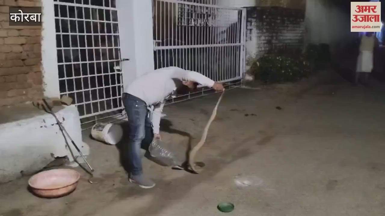 A 6-foot-long snake was found in Korba's Kudarmal village