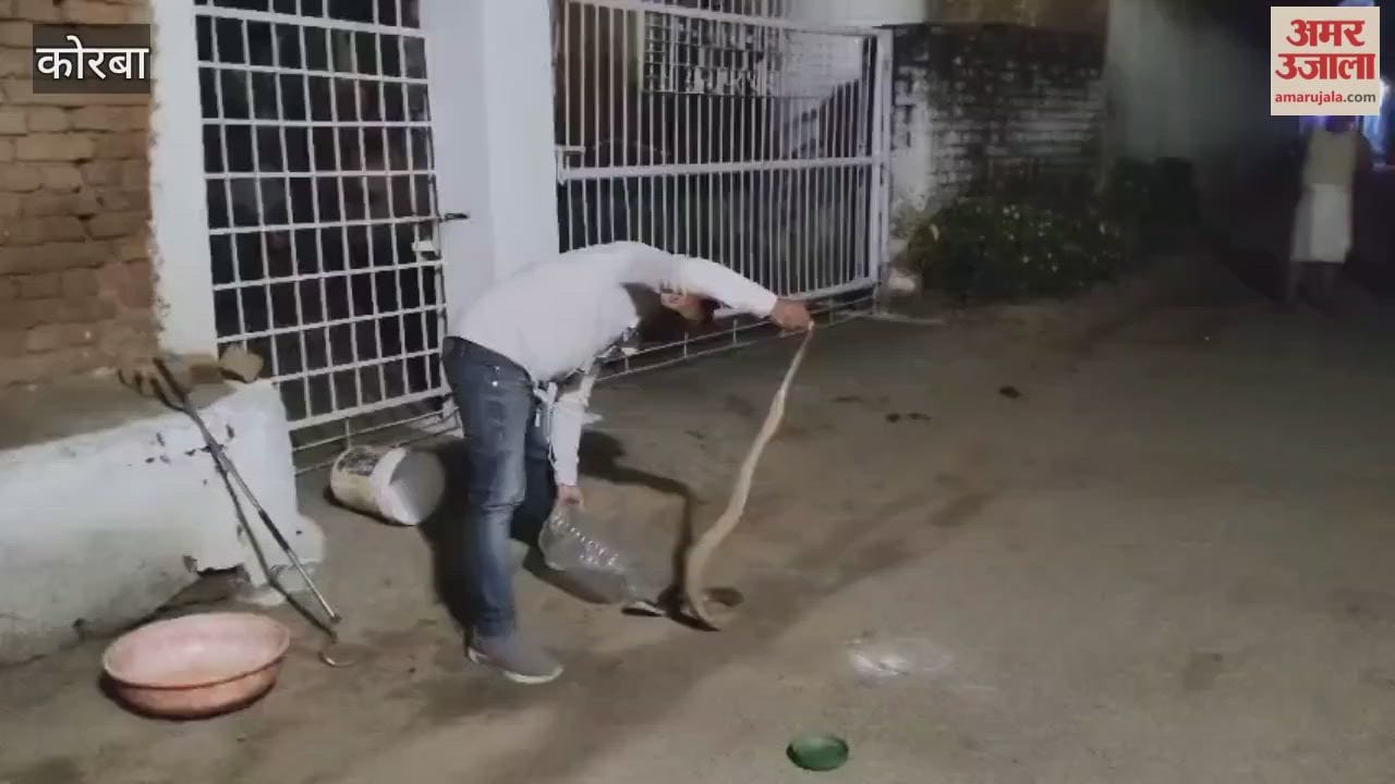A 6-foot-long snake was found in Korba's Kudarmal village