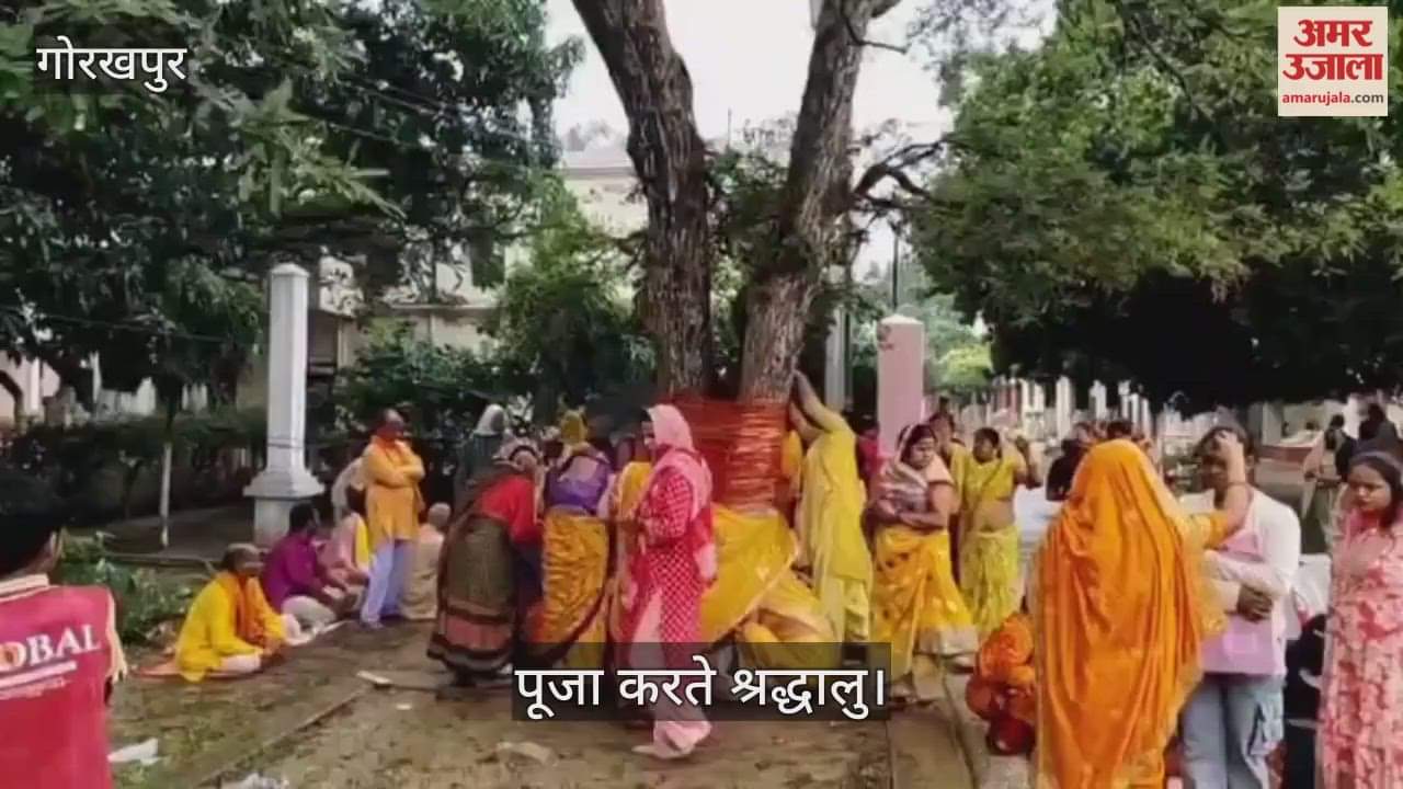 On the occasion of Akshaya Navami, devotees performed Parikrama under the Amla tree.
