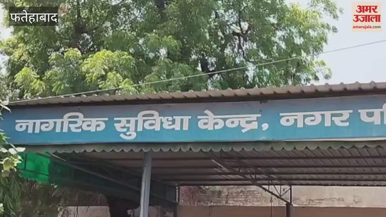 boards of nominated councillors are gathering dust due to the negligence of the Municipal Council officials In Tohana, Fatehabad