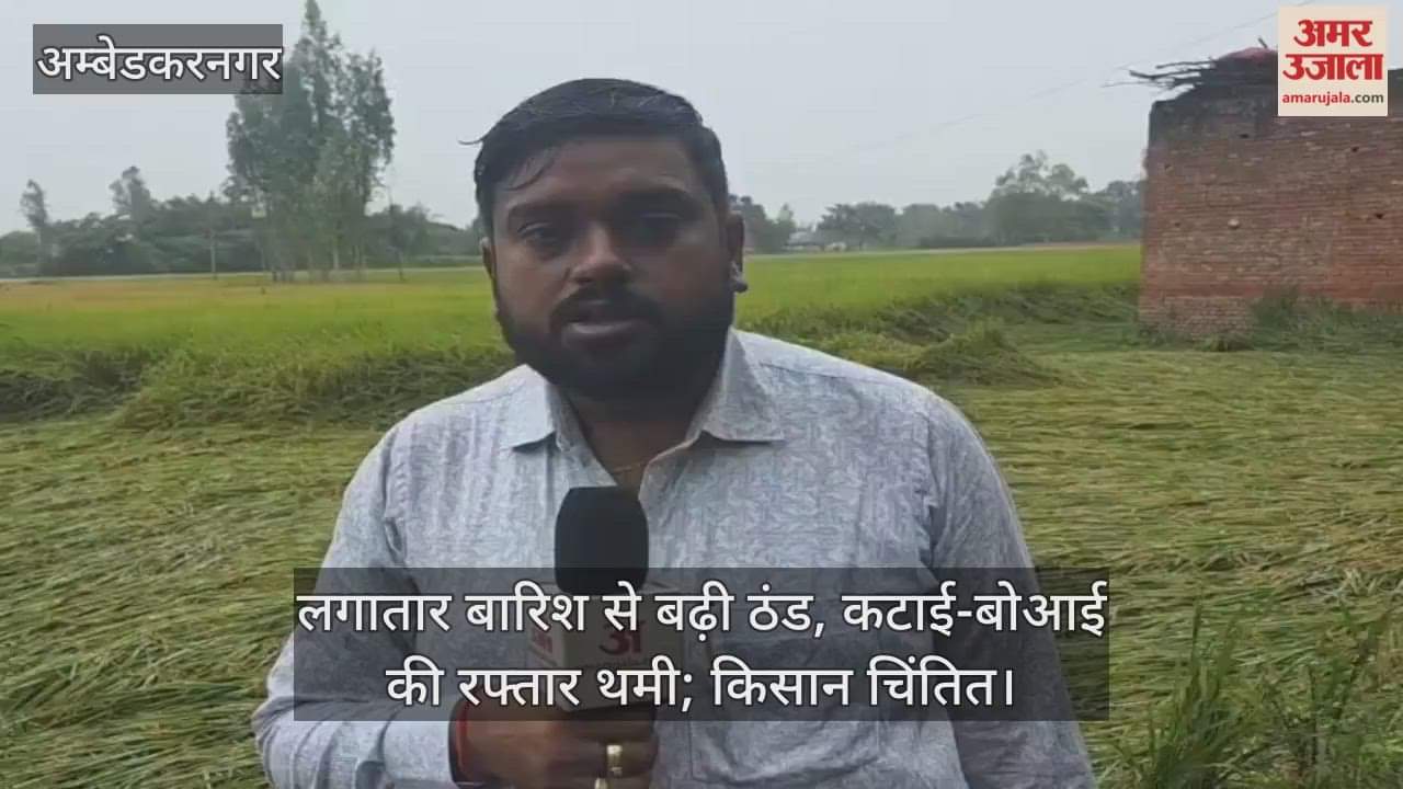 अंबेडकरनगर में 18 घंटे से हो रही बारिश से बढ़ी ठंड, कटाई-बोआई की रफ्तार थमी; किसान चिंतित